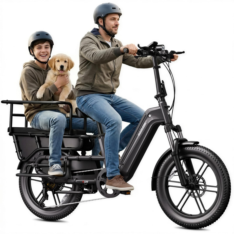 Cargo for Adults,20"x4" Fat Tires ,28MPH,Range 65Miles