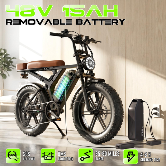 TST for Adults,48V Removable Battery,28MPH Top Speed