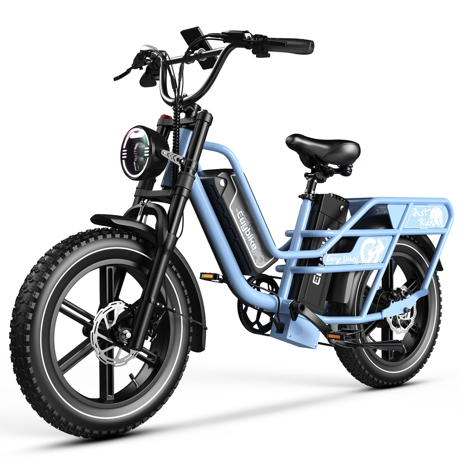 Dual Battery for Adults, Cargo with 48V 60AH Removable Battery Up to 160 Miles