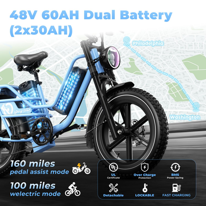 Dual Battery for Adults, Cargo with 48V 60AH Removable Battery Up to 160 Miles
