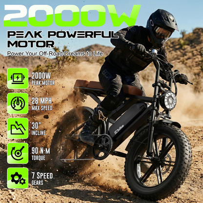 TST for Adults,48V Removable Battery,28MPH Top Speed