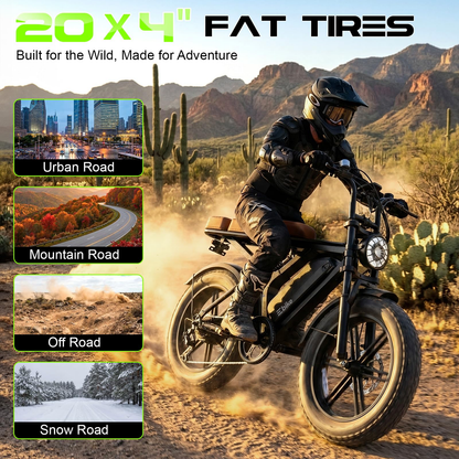 TST for Adults,48V Removable Battery,28MPH Top Speed